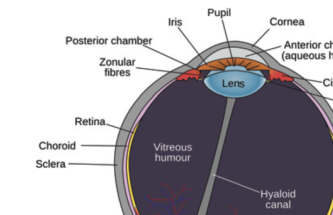 REVIEW OF PRESENT TECHNOLOGIES & STEPS FORWARD