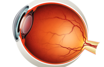 CREATING SUSTAINABLE BIOTHERAPEUTICS FACTORIES IN THE EYE