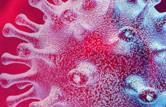 Stabilitech to have oral coronavirus vaccine ready for preclinical evaluation in 3 months