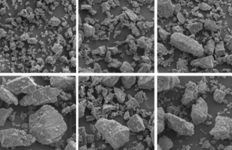 CHARACTERISATION OF LACTOSE POWDERS FOR DPI APPLICATIONS